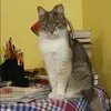 Отзыв от Прасковья Чистякова